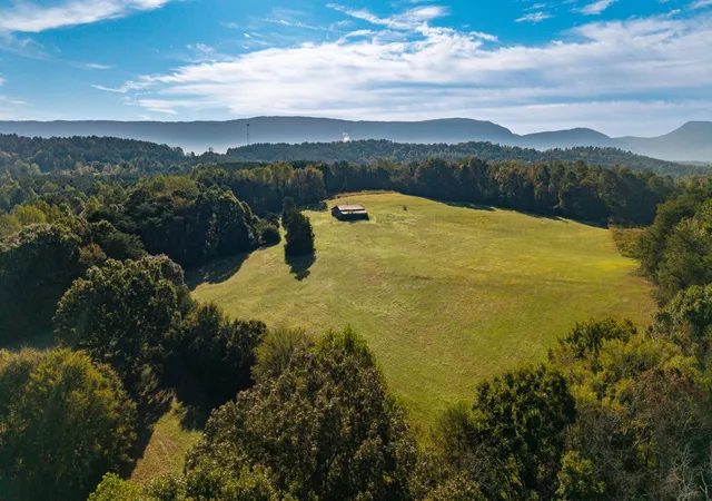 4th image of 238 County Road 792, Etowah, TN 37331 | MLS# 2899254