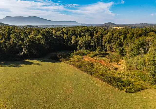 5th image of 238 County Road 792, Etowah, TN 37331 | MLS# 2899254