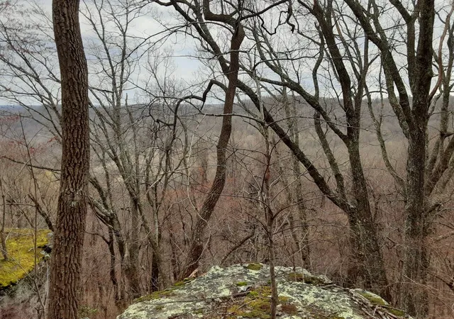 10th image of 0 Sheep Bluff Road, Cookeville, TN 38506 | MLS# 2900265