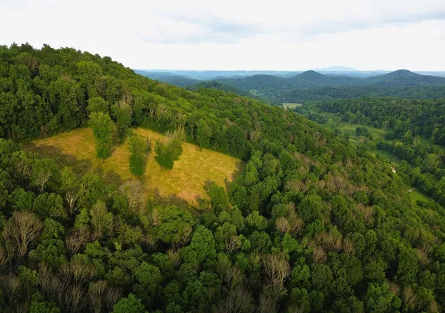 Homes for sale in Watertown, TN | 1291 Johnson Hollow Rd, Watertown, TN 37184 | MLS# 2899925