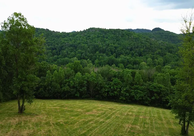 Homes for sale in Watertown, TN | 1291 Johnson Hollow Rd, Watertown, TN 37184 | MLS# 2899925