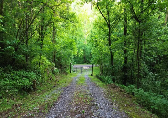 Homes for sale in Watertown, TN | 1291 Johnson Hollow Rd, Watertown, TN 37184 | MLS# 2899925