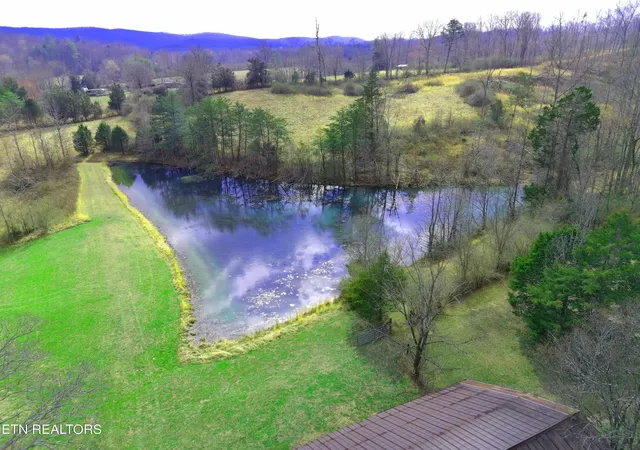 Photo 4 of Single family home for sale at 596 Clifty Crk Rd, Oakdale, TN 37829 | MLS# 2959050 | Listing updated on 2026-08-18