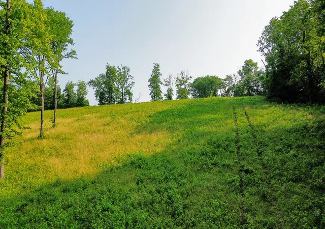 2nd image of 0 Hwy 64 W, Pulaski, TN 38478 | MLS# 2901595