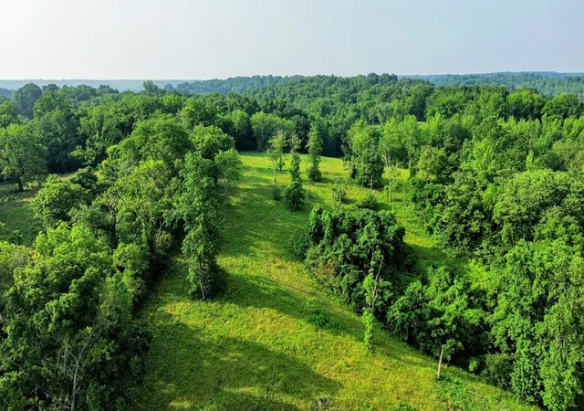4th image of 0 Hwy 64 W, Pulaski, TN 38478 | MLS# 2901595