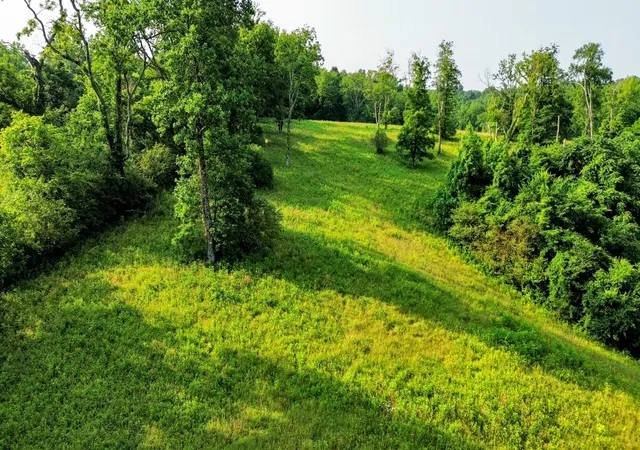 1st image of 0 Hwy 64 W, Pulaski, TN 38478 | MLS# 2901595