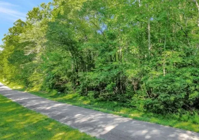 Homes for sale in Lawrenceburg, TN | 0 Brush Creek Rd, Lawrenceburg, TN 38464 | MLS# 2905238