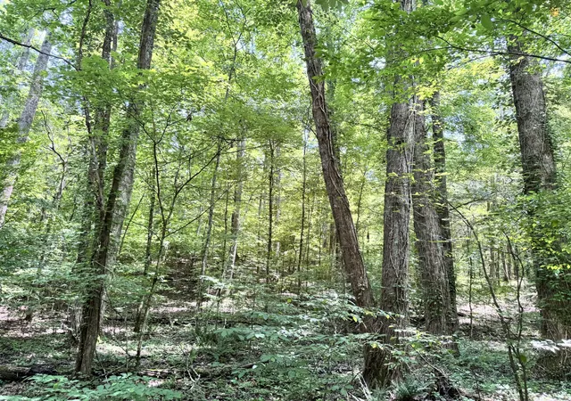 Homes for sale in Lawrenceburg, TN | 0 Brush Creek Rd, Lawrenceburg, TN 38464 | MLS# 2905238