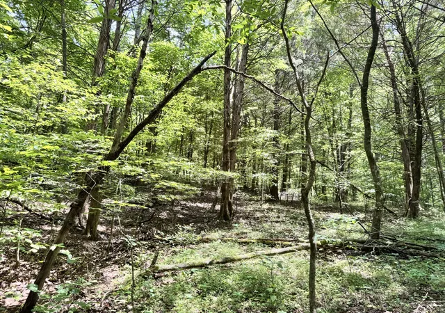 Homes for sale in Lawrenceburg, TN | 0 Brush Creek Rd, Lawrenceburg, TN 38464 | MLS# 2905238