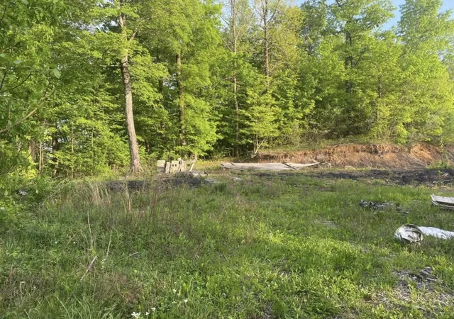 Photo 3 of Land for sale at 4421 Leeco Rd, Wooton, KY 41776 | MLS# 2914980 | Listing updated on 2025-06-19