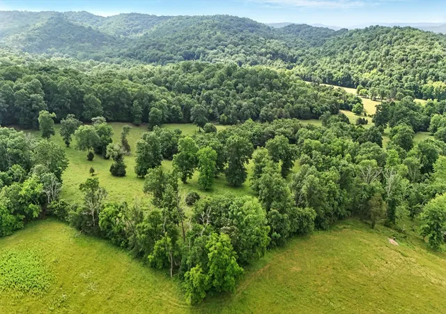 Photo 3 of House for sale at 124 Blue Smith Rd, Cornersville, TN 37047 | MLS# 2906938 | Listing updated on 2025-11-19