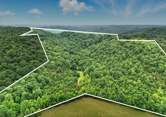 Photo 49 of Land for sale at 124 Blue Smith Rd, Cornersville, TN 37047 | MLS# 2906938 | Listing updated on 2025-11-19
