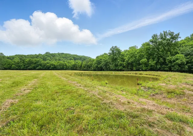 Photo 4 of House for sale at 124 Blue Smith Rd, Cornersville, TN 37047 | MLS# 2906938 | Listing updated on 2025-11-19