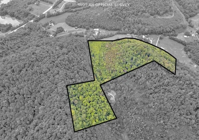 Photo 13 of Land for sale at 0 Hurrican Branch Road, Gainesboro, TN 38562 | MLS# 2914409 | Listing updated on 2025-06-16