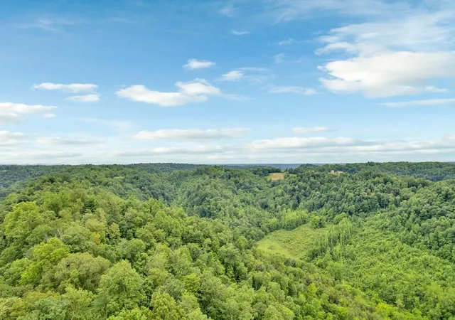 Photo 2 of Land for sale at 0 Hurrican Branch Road, Gainesboro, TN 38562 | MLS# 2914409 | Listing updated on 2025-06-16