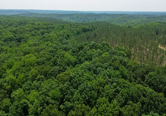 2nd image of 0 Copperas Branch Rd, Centerville, TN 37033 | MLS# 2907830