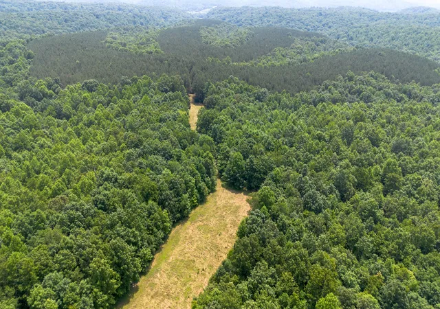 3rd image of 0 Copperas Branch Rd, Centerville, TN 37033 | MLS# 2907830