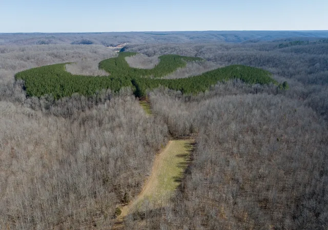 4th image of 0 Copperas Branch Rd, Centerville, TN 37033 | MLS# 2907830