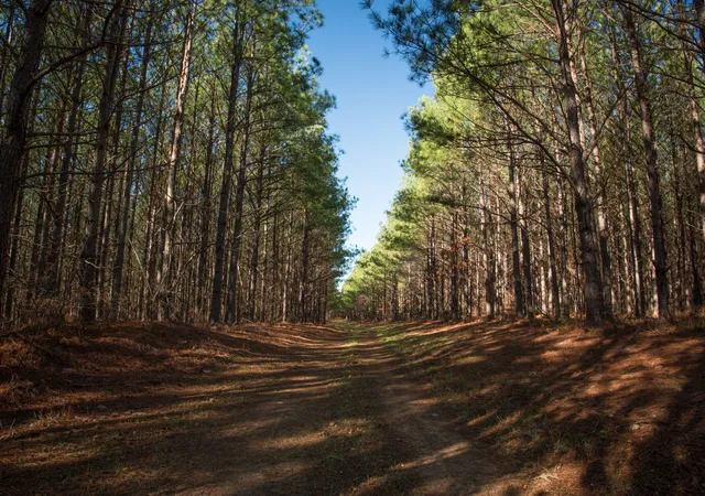 1st image of 0 Copperas Branch Rd, Centerville, TN 37033 | MLS# 2907830