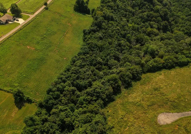 23rd image of 80b Swan Ridge, Hilham, TN 38568 | MLS# 2922586