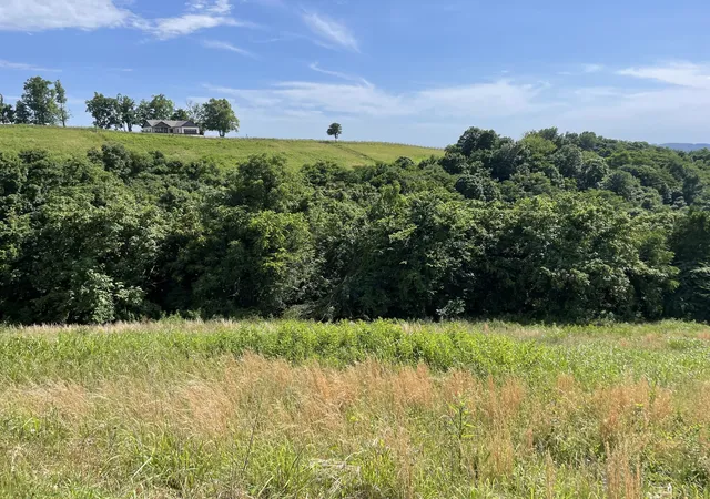 4th image of 80B Swan Ridge, Hilham, TN 38568 | MLS# 2922586