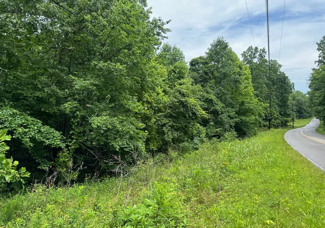 Homes for sale in Dover, TN | 0 Carlisle Rd, Dover, TN 37058 | MLS# 2914081