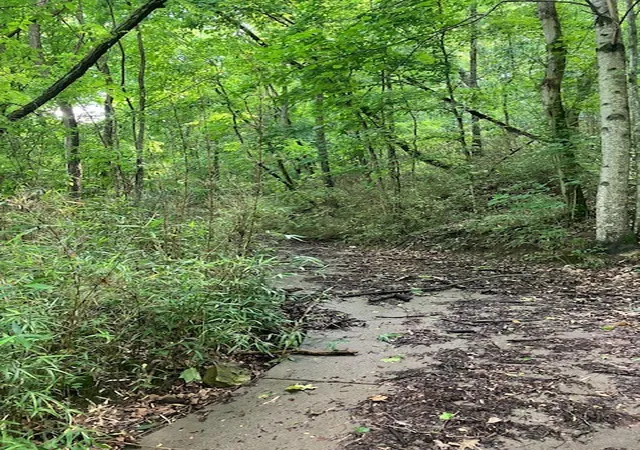 2nd image of 0 Slaters Creek Access, Goodlettsville, TN 37072 | MLS# 2918039