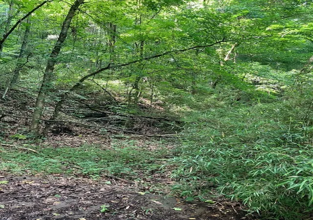 3rd image of 0 Slaters Creek Access, Goodlettsville, TN 37072 | MLS# 2918039