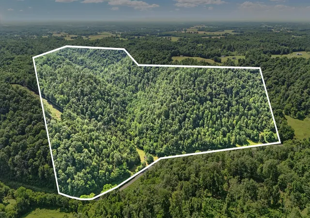 3rd image of 4006 Stones River Rd, Woodbury, TN 37190 | MLS# 2914749