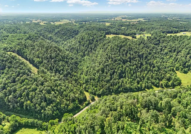 4th image of 4006 Stones River Rd, Woodbury, TN 37190 | MLS# 2914749