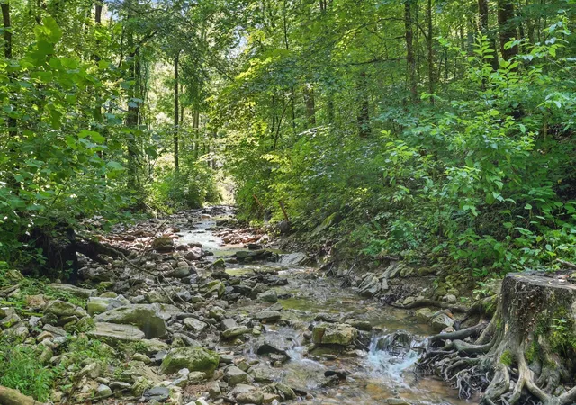 5th image of 4006 Stones River Rd, Woodbury, TN 37190 | MLS# 2914749