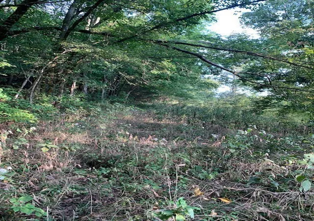3rd image of 340 Cortner Hollow Rd, Petersburg, TN 37144 | MLS# 2922760