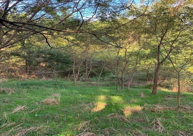 4th image of 340 Cortner Hollow Rd, Petersburg, TN 37144 | MLS# 2922760