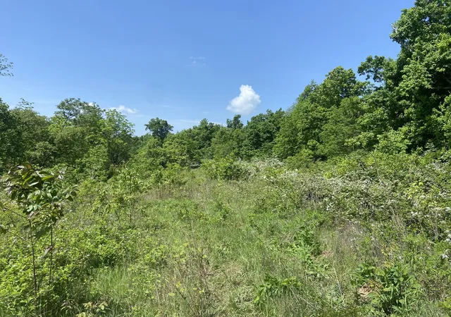 1st image of 0 Possum Trott Rd, Shelbyville, TN 37160 | MLS# 2914915