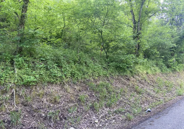 2nd image of 0 Possum Trott Rd, Shelbyville, TN 37160 | MLS# 2914915