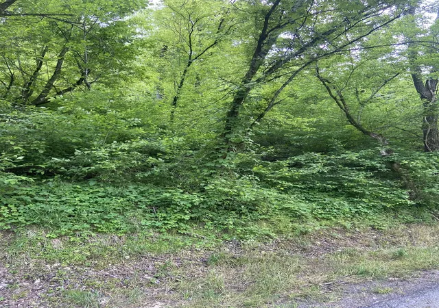 5th image of 0 Possum Trott Rd, Shelbyville, TN 37160 | MLS# 2914915