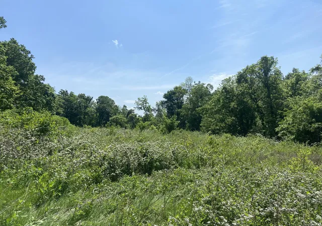 10th image of 0 Possum Trott Rd, Shelbyville, TN 37160 | MLS# 2914915