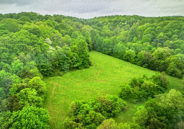 Land for sale at 0 Collier Rd, Lewisburg, TN 37091 | MLS# 2918199
