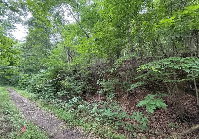 Homes for sale in Baneberry, TN | 0 Fortunato Dr, Baneberry, TN 37890 | MLS# 3248704