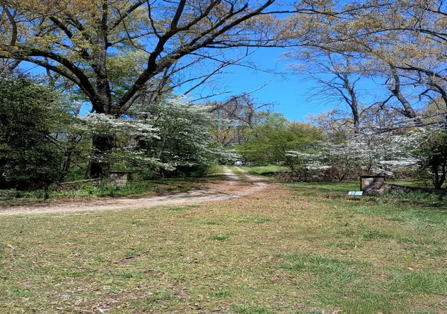 5th image of 240 Dogwood Dr, Winchester, TN 37398 | MLS# 2920631