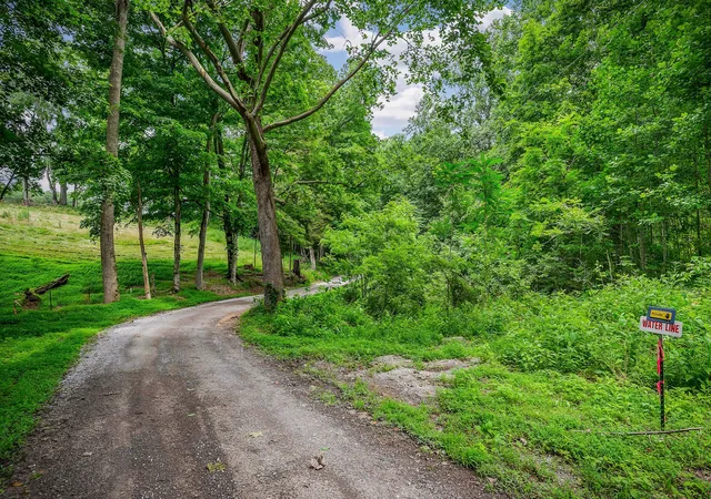 39th image of 351 Martin Rd, Smithville, TN 37166 | MLS# 2921211