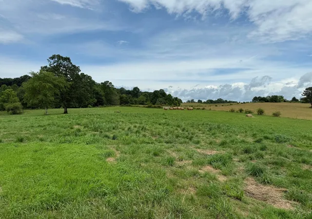 5th image of 0 Stockton Rd, Jamestown, TN 38556 | MLS# 2921135