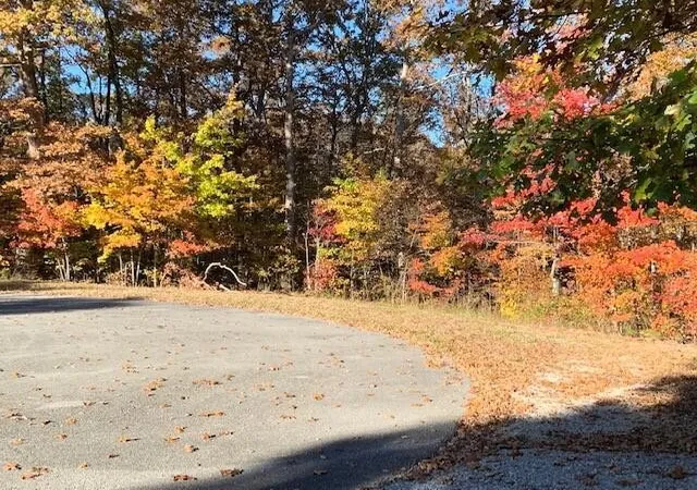 5th image of 38 Gray Rock Vw, Pikeville, TN 37367 | MLS# 2946405
