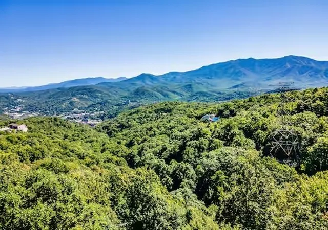 60th image of 1530 Zurich Rd, Gatlinburg, TN 37738 | MLS# 2922741