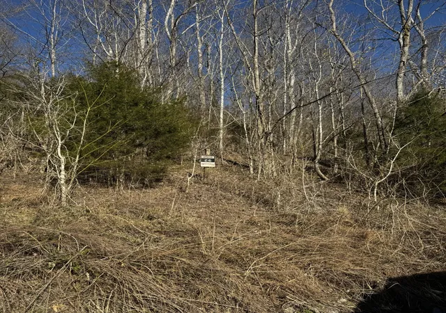 Homes for sale in Smithville, TN | 92 Shoreside Dr, Smithville, TN 37166 | MLS# 2921726