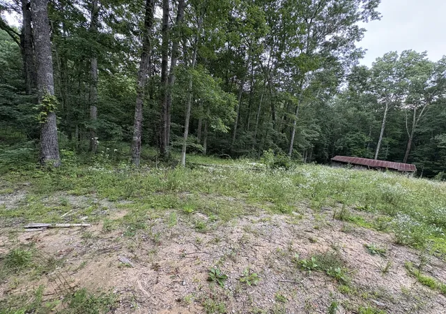4th image of 1117 Deer Run, Altamont, TN 37301 | MLS# 2922429