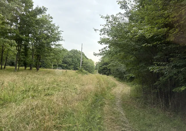 5th image of 1117 Deer Run, Altamont, TN 37301 | MLS# 2922429
