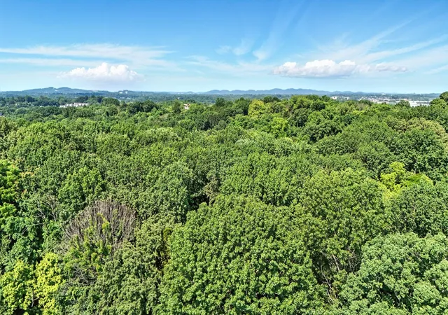 Photo 4 of Land for sale at 516 Franklin Limestone Rd, Nashville, TN 37217 | MLS# 2946240 | Listing updated on 2026-06-18