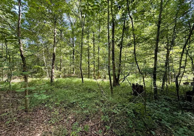 Photo 1 of Land for sale at 0 Webb Rd Ext, Summertown, TN 38483 | MLS# 2924044 | Listing updated on 2026-08-21