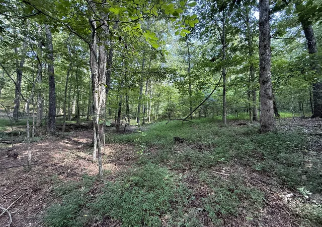 Photo 2 of Land for sale at 0 Webb Rd Ext, Summertown, TN 38483 | MLS# 2924044 | Listing updated on 2026-08-21